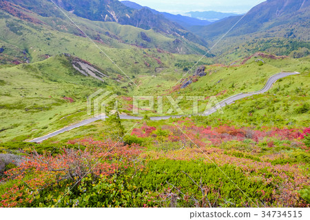 Autumn hairlessness 34734515