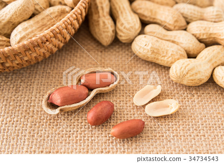 Peanut peanut ground shell Peanut peanut ground shell 34734543