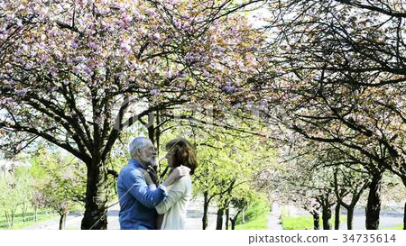Senior couple hugging under the cherry blossom Senior couple hugging under the cherry blossom 34735614