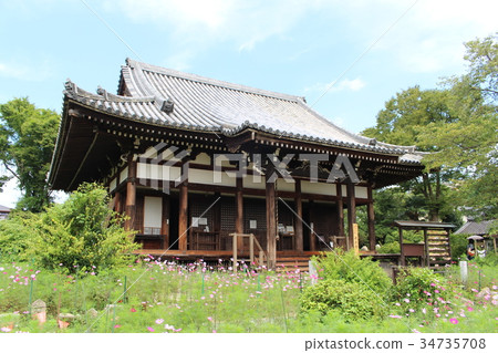 Rikuji Temple and Cosmos 34735708