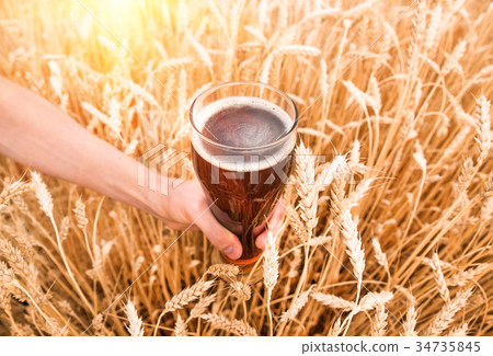 A glass of beer in a hand in a wheat field 34735845