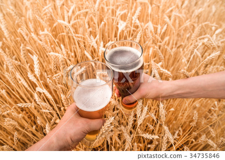 A glass of beer in a hand in a wheat field 34735846