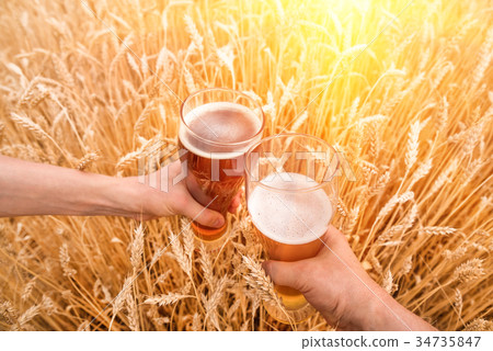 A glass of beer in a hand in a wheat field 34735847