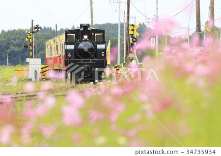 Akisakura和Koshiba鐵路 34735934