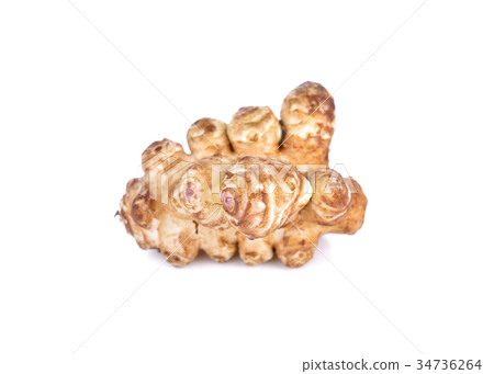 whole fresh Jerusalem Artichoke on white whole fresh Jerusalem Artichoke on white 34736264
