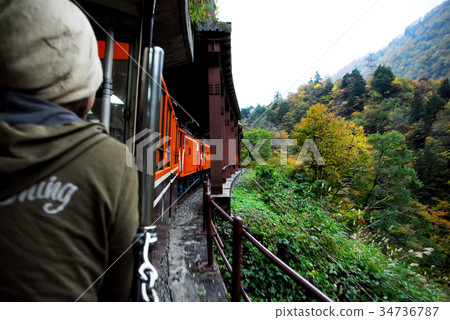 從Kurobe峽谷Torokko火車的車窗秋葉 從Kurobe峽谷Torokko火車的車窗秋葉 34736787