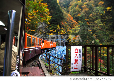 從Kurobe峽谷Torokko火車的車窗秋葉 從Kurobe峽谷Torokko火車的車窗秋葉 34736789