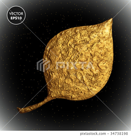 Gold leaf vector illustration. Golden floral leaf Gold leaf vector illustration. Golden floral leaf 34738198