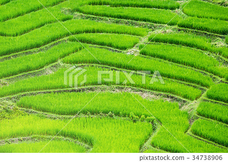 Rice Terrace At Mae Chaem, Chaing Mai Rice Terrace At Mae Chaem, Chaing Mai 34738906