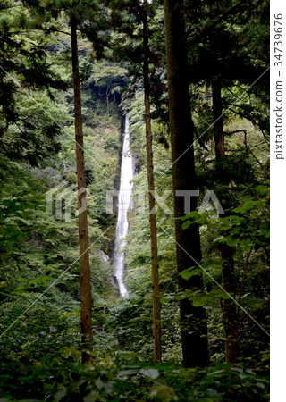 Fresh waterfall Fresh waterfall 34739676