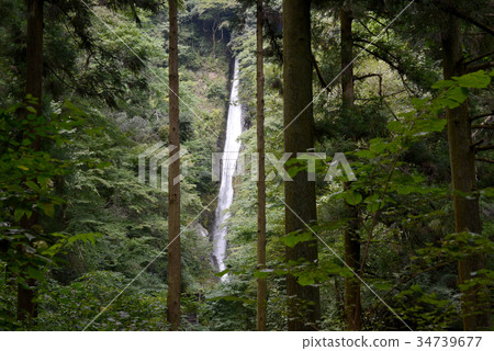Fresh waterfall Fresh waterfall 34739677