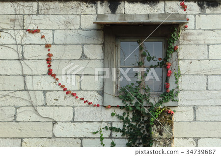 Tsuta Urushi window 34739687