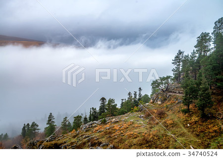 Autumn landscape with mountain forest Autumn landscape with mountain forest 34740524