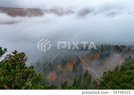 Autumn landscape with mountain forest Autumn landscape with mountain forest 34740525