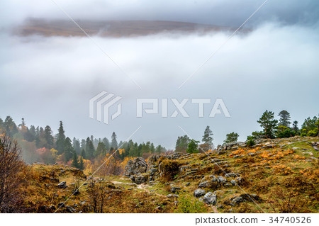 Autumn landscape with mountain forest Autumn landscape with mountain forest 34740526