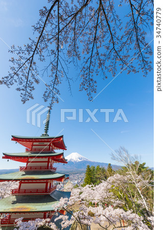 Mt. Fuji Cherry Blossoms Aomori Terao Tower Tamakura Mountain Asama Shrine Mt. Fuji Cherry Blossoms Aomori Terao Tower Tamakura Mountain Asama Shrine 34740779