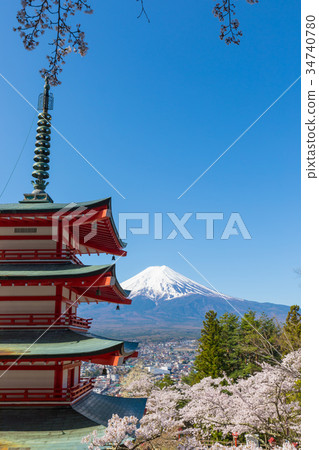 Mt. Fuji Cherry Blossoms Aomori Terao Tower Tamakura Mountain Asama Shrine Mt. Fuji Cherry Blossoms Aomori Terao Tower Tamakura Mountain Asama Shrine 34740780