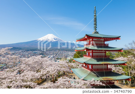 Mt.Fuji櫻花青森Terao塔玉倉山淺間神社 34740790