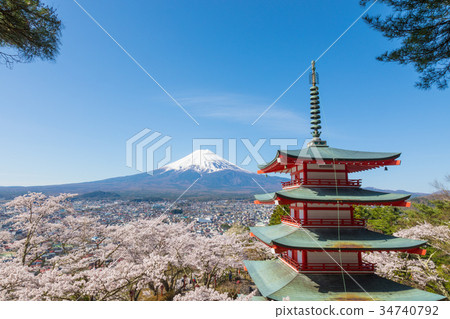 Mt. Fuji Cherry Blossoms Aomori Terao Tower Tamakura Mountain Asama Shrine 34740792