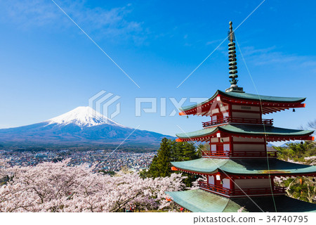 Mt. Fuji Cherry Blossoms Aomori Terao Tower Tamakura Mountain Asama Shrine 34740795