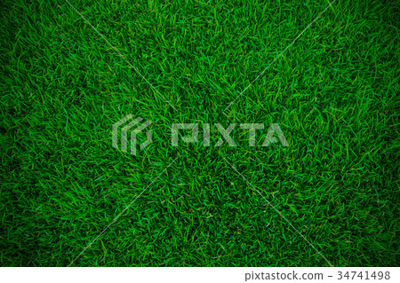grass background grass background 34741498
