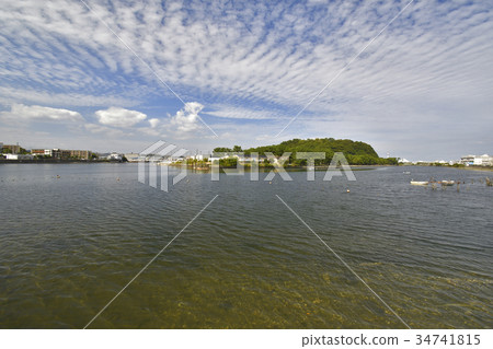 秋天的Hiragata海灣和金澤區的野島公園 秋天的Hiragata海灣和金澤區的野島公園 34741815