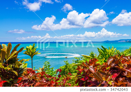 The sea of Okinawa 34742043