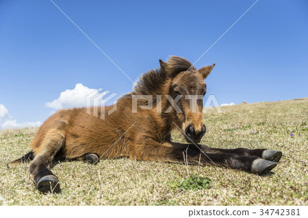 Misaki Ma Misaki Ma 34742381