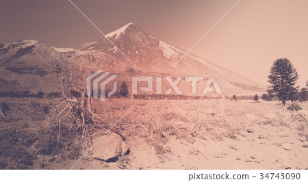 View of Lanin Volcano in National Park of Argentina View of Lanin Volcano in National Park of Argentina 34743090