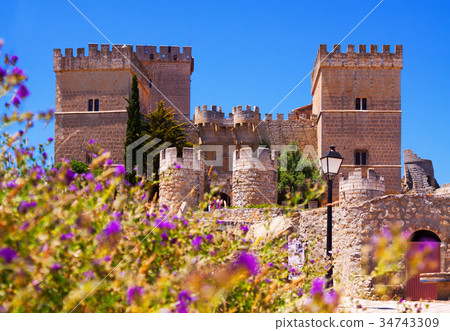 View of Castle of Ampudia 34743309