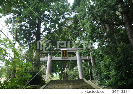 Izuyama神社 34743324
