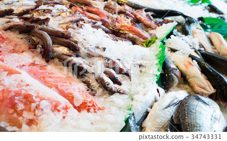 putassu on fish market putassu on fish market 34743331