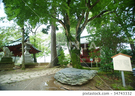 伊豆山神社“葫蘆石” 伊豆山神社“葫蘆石” 34743332