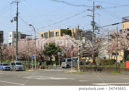 view of kyoto street 34743681