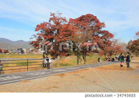 NIce and beautiful old fashioned Japanese  34743685