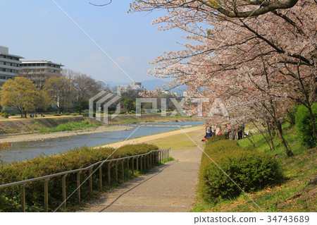 Kamo River Kamo River 34743689
