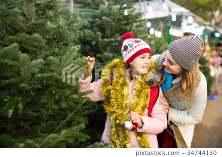 mother and daughter staying at market among Christmas trees. mother and daughter staying at market among Christmas trees. 34744130