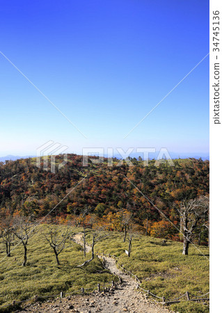 Odaigahara Aki 34745136