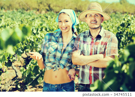 Gardeners together in grapes tree yard 34745511