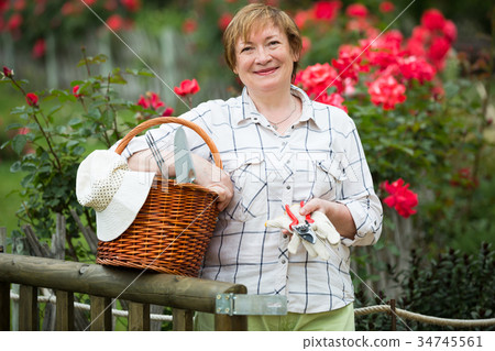 retiree gardener basket retiree gardener basket 34745561