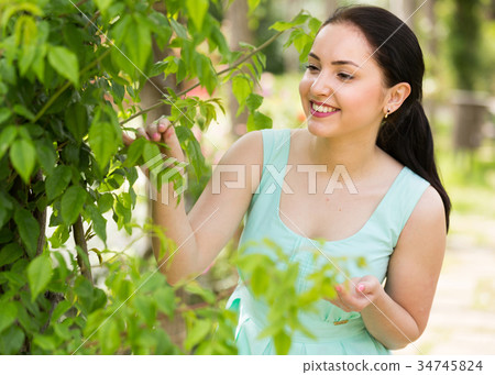 spring positive smiling young female portrait in garden spring positive smiling young female portrait in garden 34745824