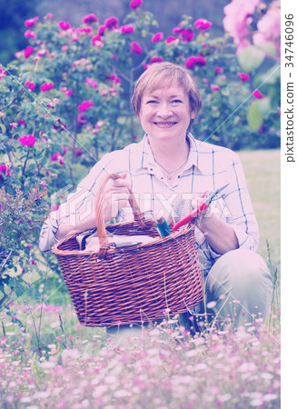 mature gardener woman basket 34746096