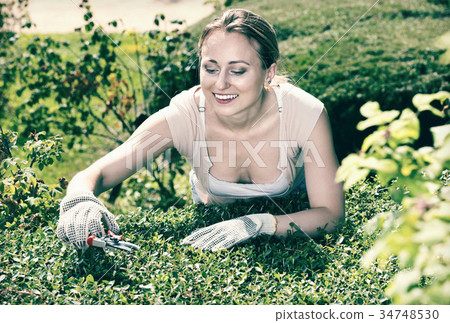 Portrait of female gardener trimming green hedge in yard 34748530
