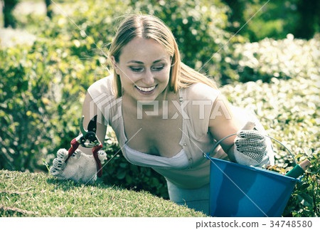 Woman working with green bush using horticultural tools Woman working with green bush using horticultural tools 34748580