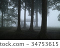 Takataniyama Observatory in the mist 34753615