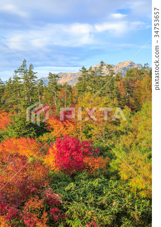 Tsugaike Nature Park Autumn leaves 34753657