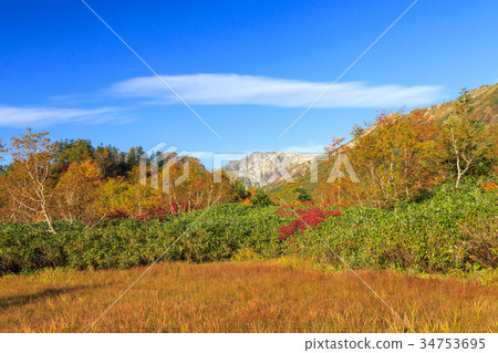 Tsugaike Nature Park Autumn leaves 34753695