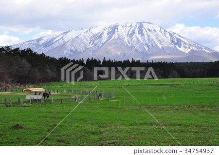 Koiwai農場和Iwateyama在早春 34754937