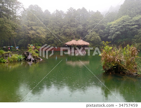 台灣阿里山姊妹潭 34757459