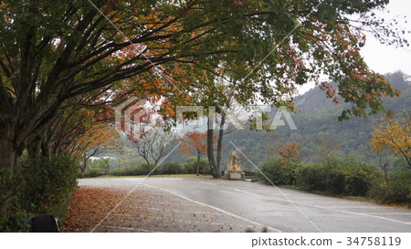 汐止拱北殿 34758119